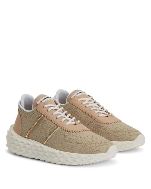 Giuseppe Zanotti Natural Urchin