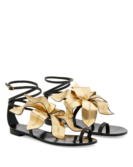 Giuseppe Zanotti Brown Lilium