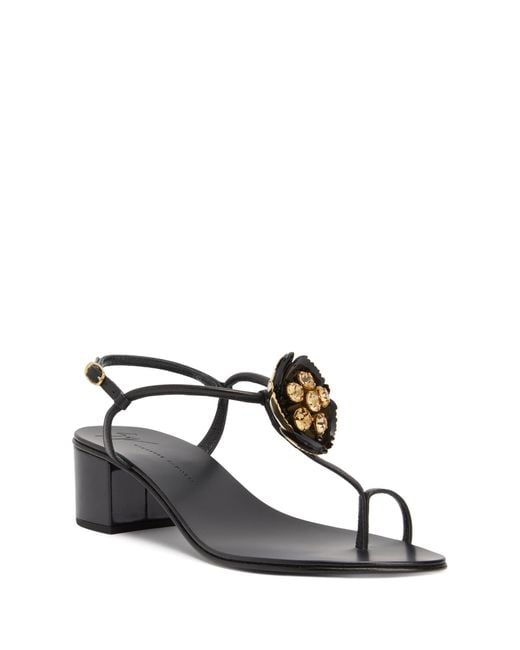 Giuseppe Zanotti Brown Sophora