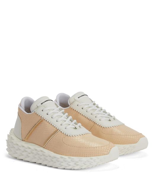 Giuseppe Zanotti Natural Urchin