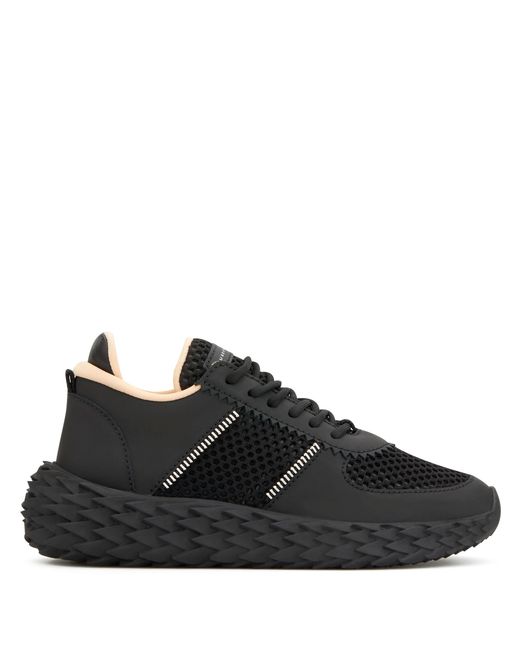urchin giuseppe zanotti