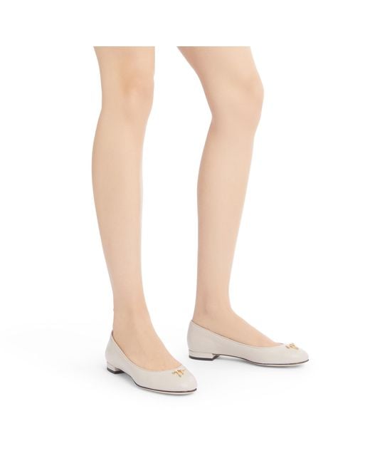 Giuseppe Zanotti Natural Riziana