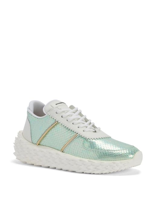 Giuseppe Zanotti Green Urchin
