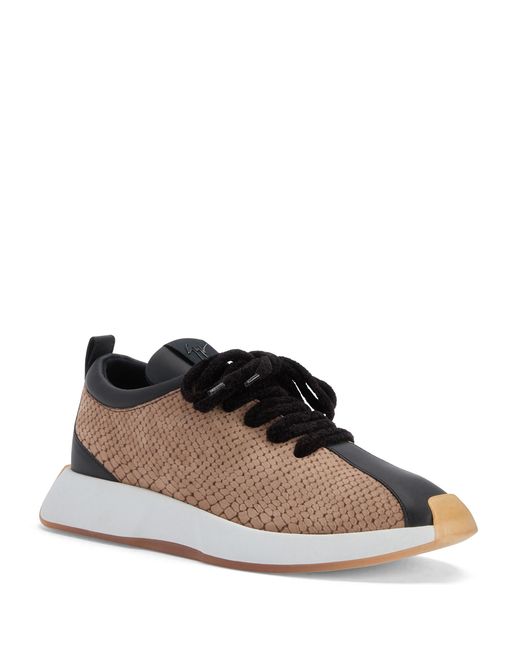 Giuseppe Zanotti Brown Ferox for men