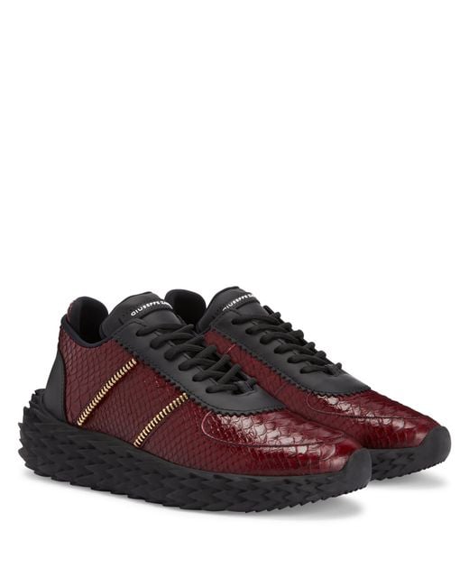 Giuseppe Zanotti Brown Urchin