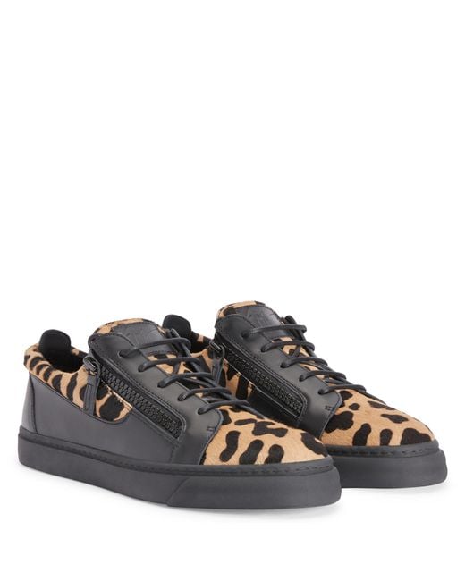 Giuseppe Zanotti Blue Frankie for men