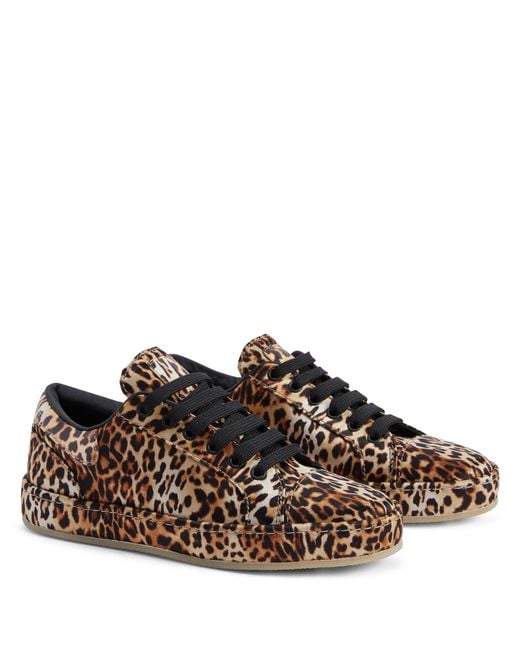 Giuseppe Zanotti Brown Gz-City