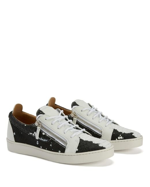 Giuseppe Zanotti Black Frankie for men