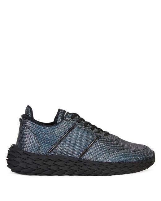 Giuseppe Zanotti Blue Urchin for men