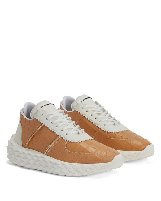 Giuseppe Zanotti Brown Urchin