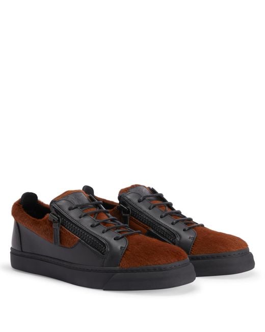 Giuseppe Zanotti Brown Frankie for men
