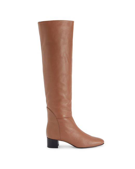 Giuseppe Zanotti Brown Clelia