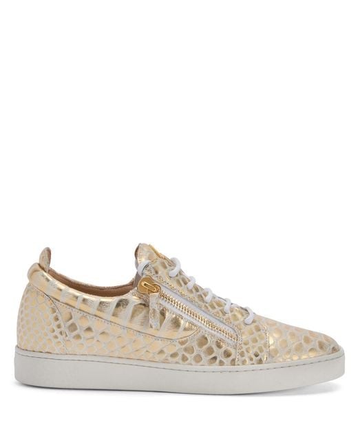 Giuseppe Zanotti Brown Frankie for men