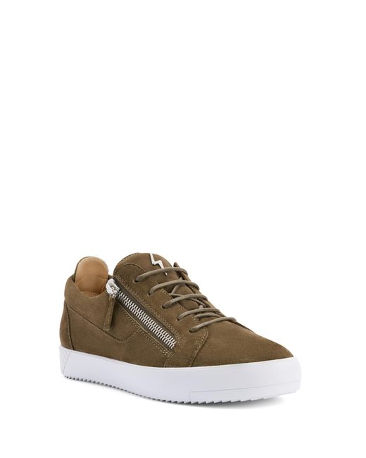 Giuseppe Zanotti Brown Frankie for men