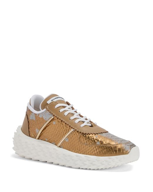 Giuseppe Zanotti Brown Urchin