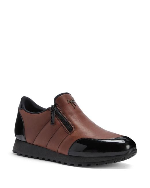 Giuseppe Zanotti Brown Conley for men