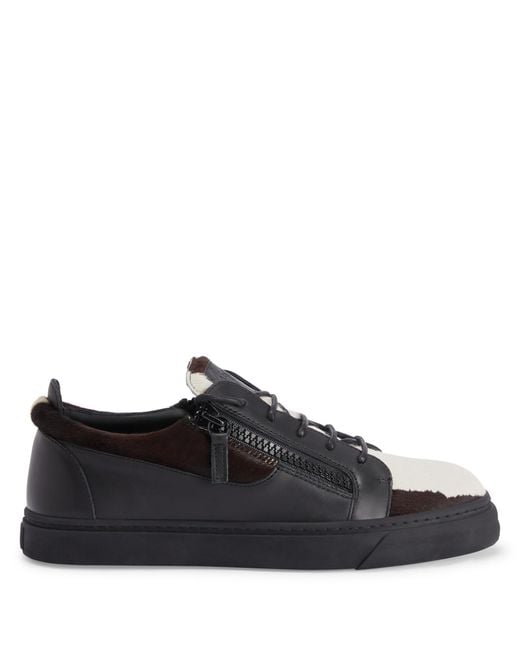 Giuseppe Zanotti Black Frankie for men