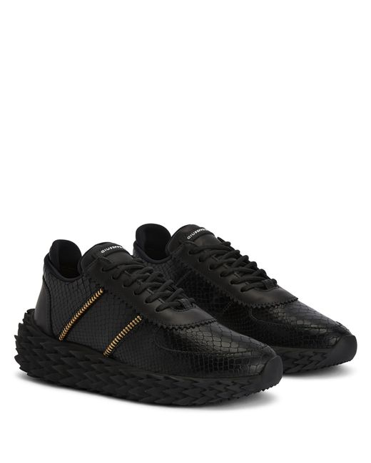 Giuseppe Zanotti Black Trainers