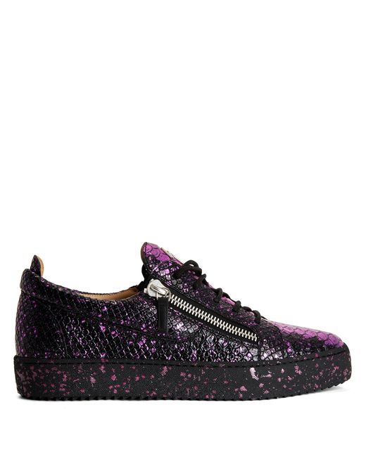 Giuseppe Zanotti Blue Frankie for men
