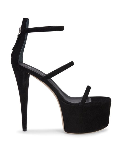 Giuseppe Zanotti Black Gz-Aida