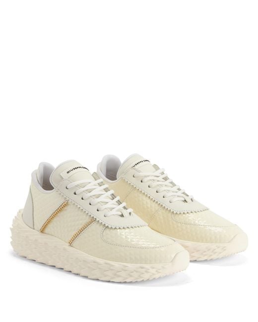 Giuseppe Zanotti Natural Urchin