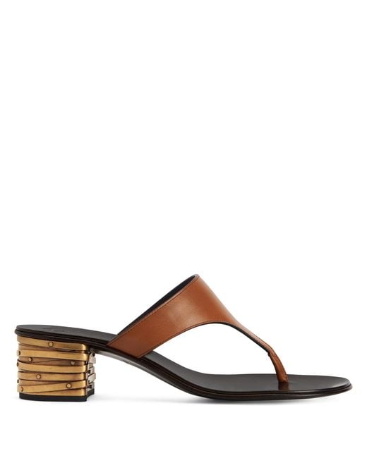 Giuseppe Zanotti Brown Rhea 40