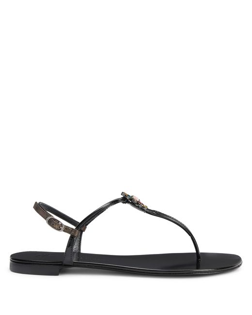 Giuseppe Zanotti Brown NOUSSA