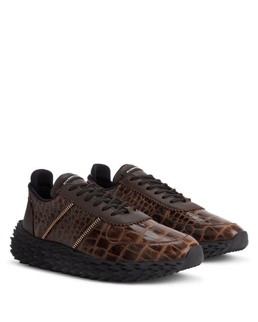 Giuseppe Zanotti Brown Urchin for men