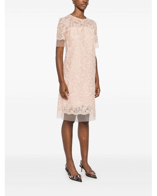Abito midi in pizzo di Ermanno Scervino in Pink da Uomo