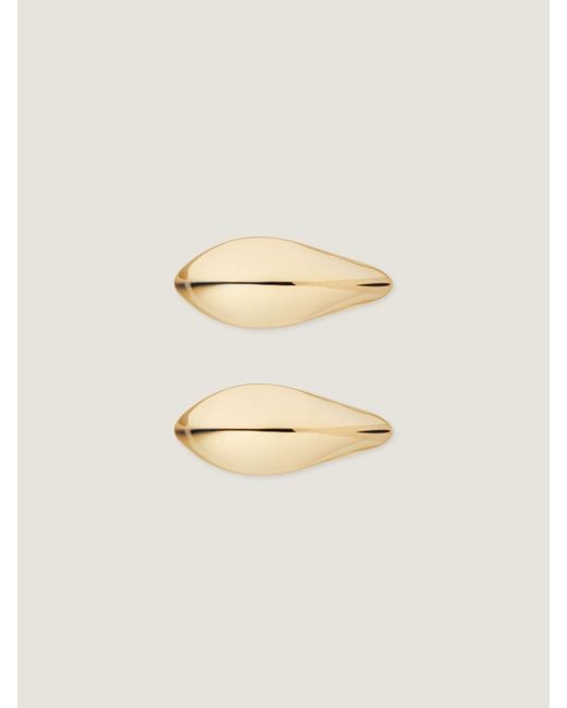 Givenchy Natural Maple Seed Earcuffs Set