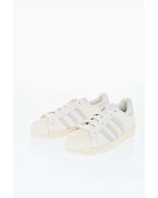 Adidas White Solid Color Superstar Faux Leather Low-Top Sneakers