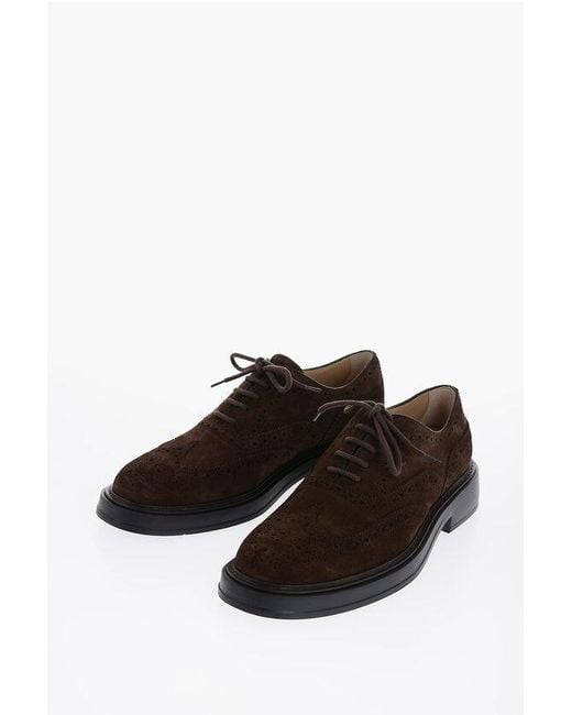 Tod's Black Suede Leather Oxford Shoes With Brogues Details for men