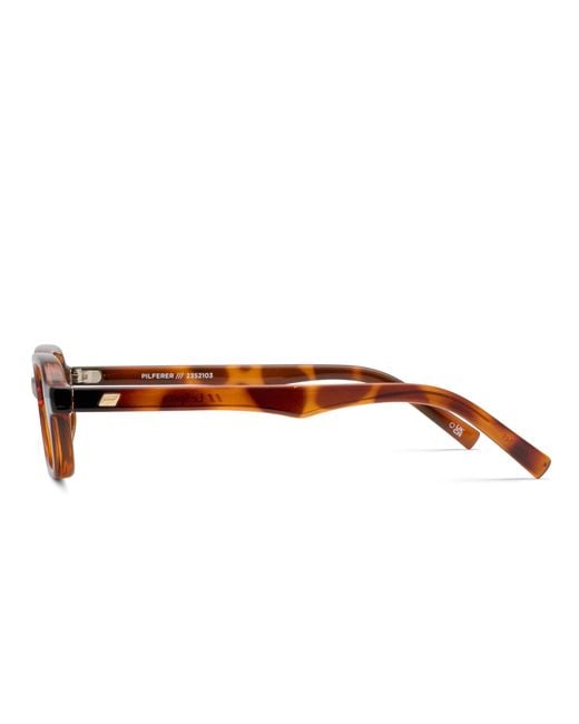 Le Specs Brown Pilferer