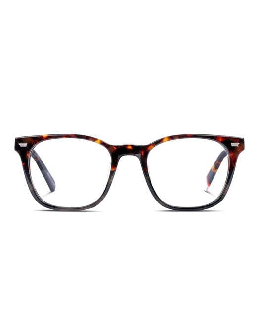 Superdry Black Sdo-3065 Tortoise