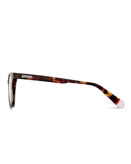 Superdry Black Sdo-3065 Tortoise