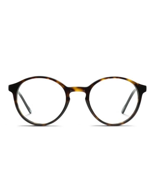 Le Specs Black Bio-Nics