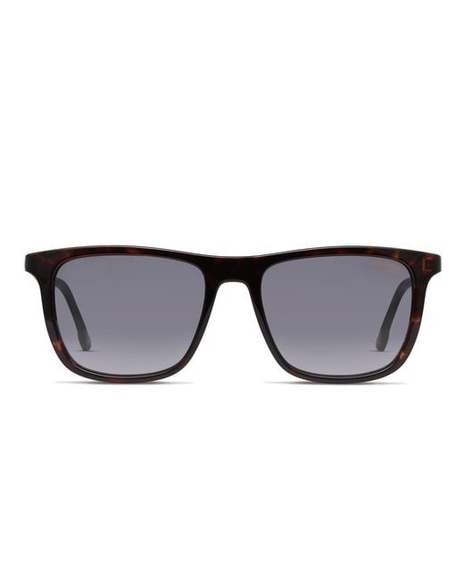 Carrera Black 261/S for men