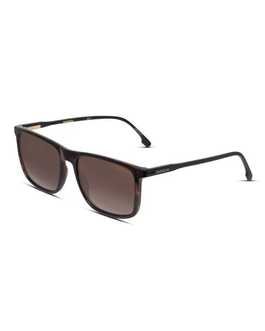 Carrera Black 231/S