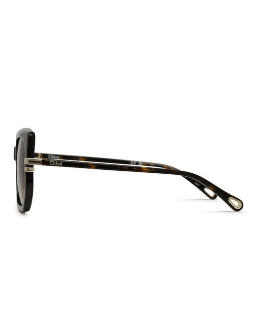 Chloé Black Ch0240S