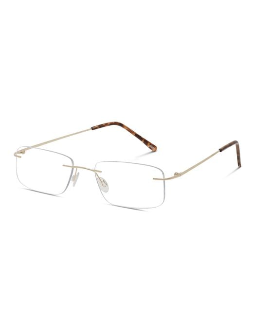 Ottoto Black Milano