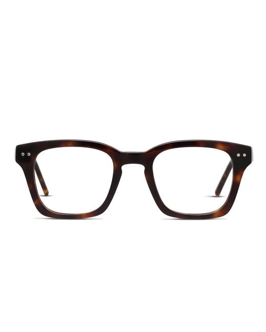 Muse Black Toppin Glasses