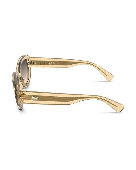 Lacoste Black L6091S,Clear