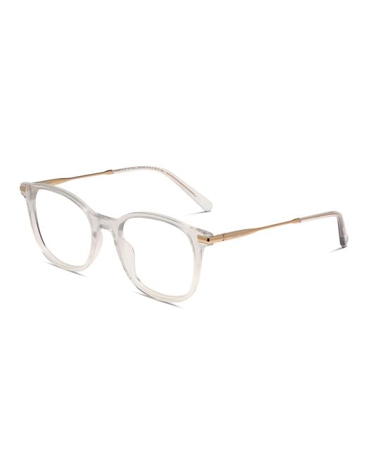 Tommy Hilfiger Black Th2050