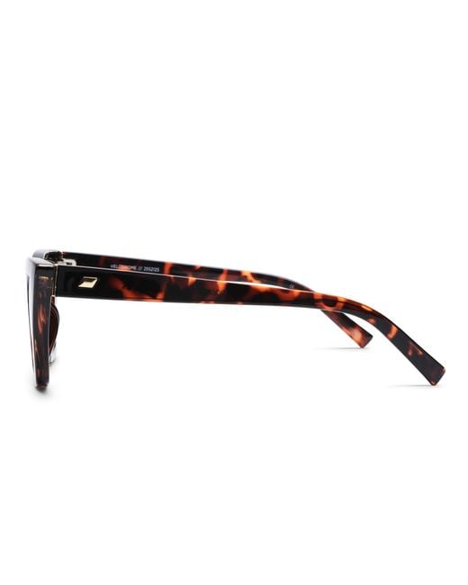 Le Specs Black Velodrome