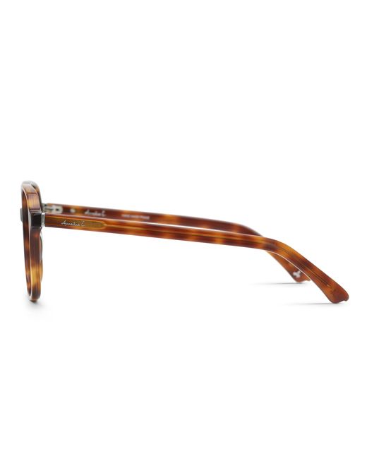 Amelia E. Black Moonlit Eyeglasses