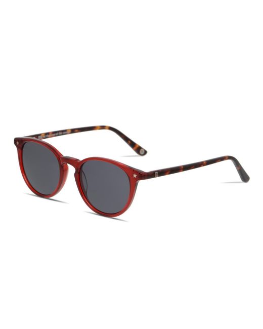 Muse Black Round Oval Muse Monaco Sunglasses