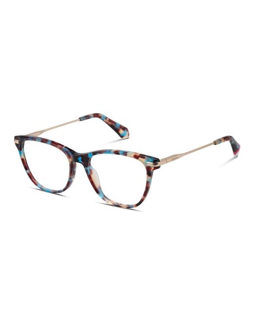 Superdry Black Sdo-3057 Tortoise