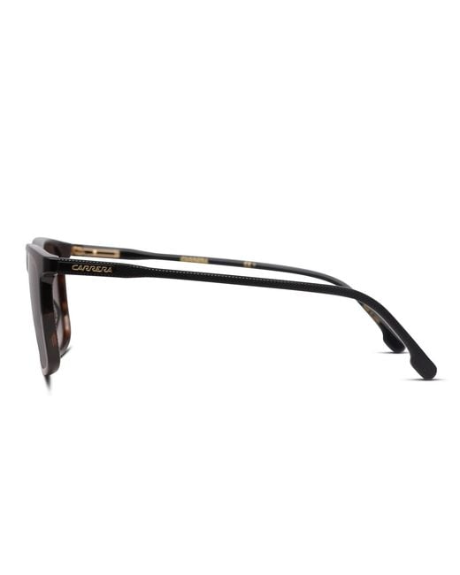 Carrera Black 231/S