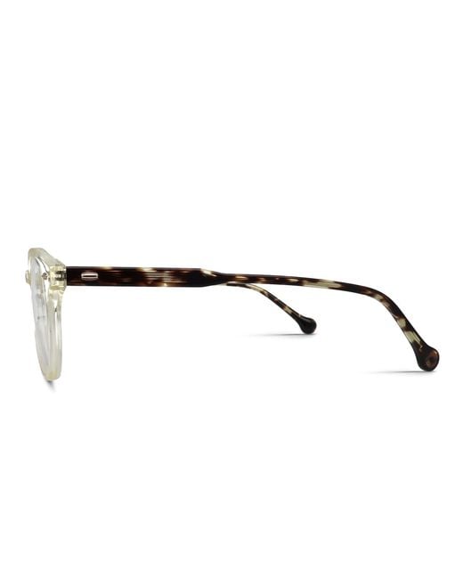 Belvie Black Auberi
