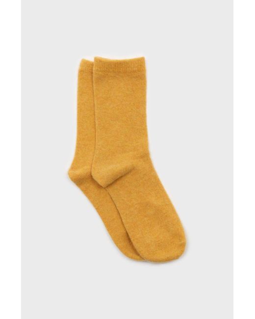 Glassworks Yellow Smooth Wool Long Socks